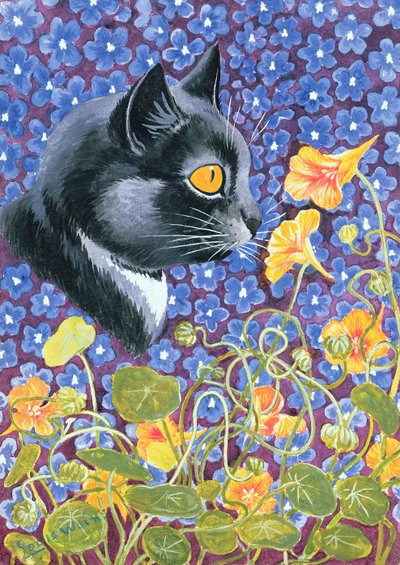 Um gato em um mar de flores de Louis Wain